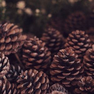 Meet your Posher, Kaylye